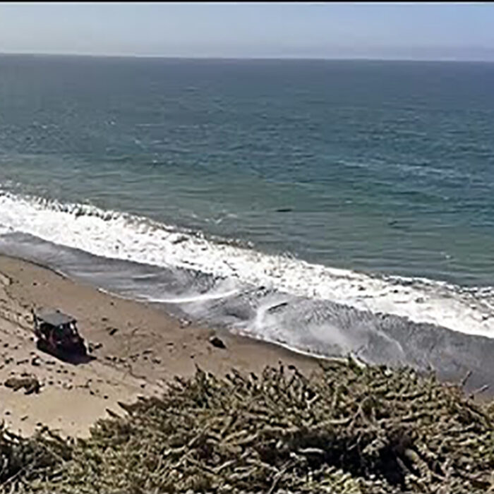 Swimmer Missing in Marin County After Apparent Shark Attack