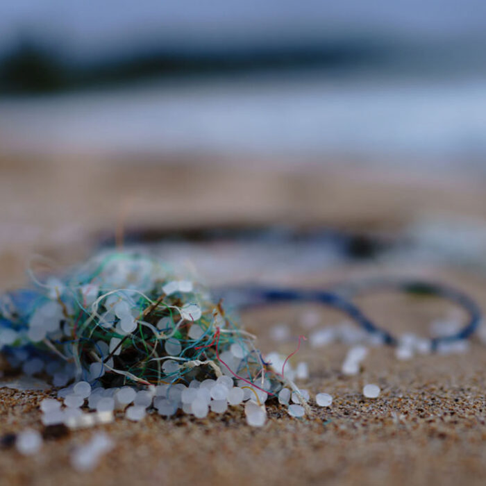 sponge that absorbs microplastics