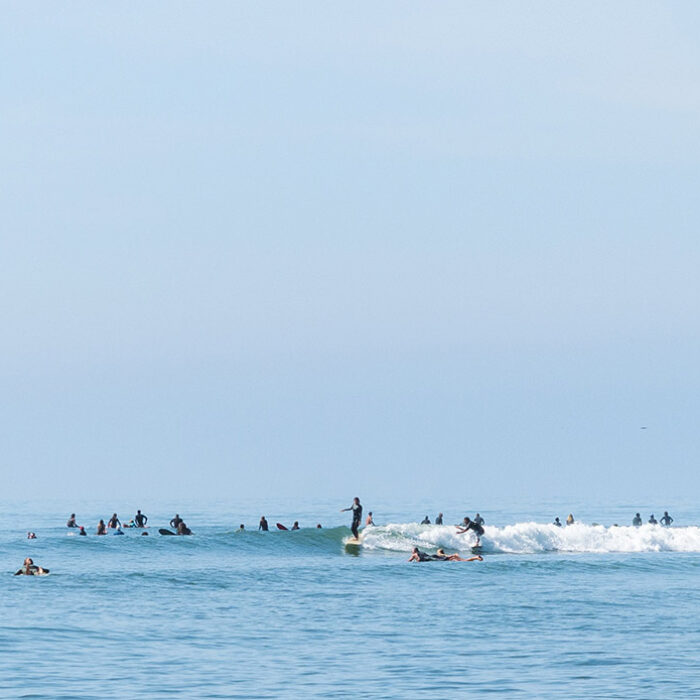 Understanding the Comical Complexities of a Surf Lineup