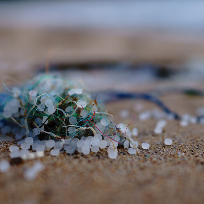 Photo: Sören Funk // Unsplash