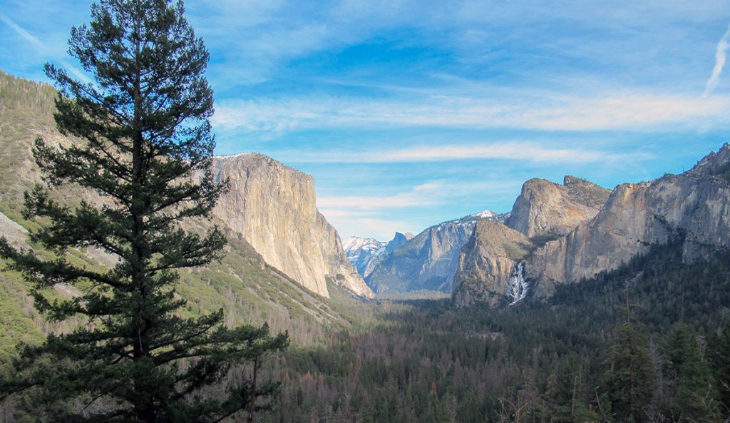 Yosemite National Park Brings Back Reservation System to Mitigate Overcrowding