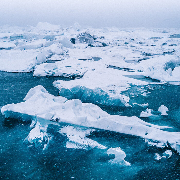 Photo: Willian Justen De Vasconcellos // Unsplash
