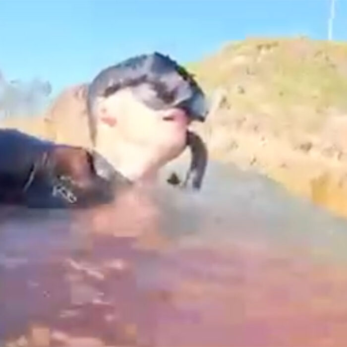 shark attack victim films himself