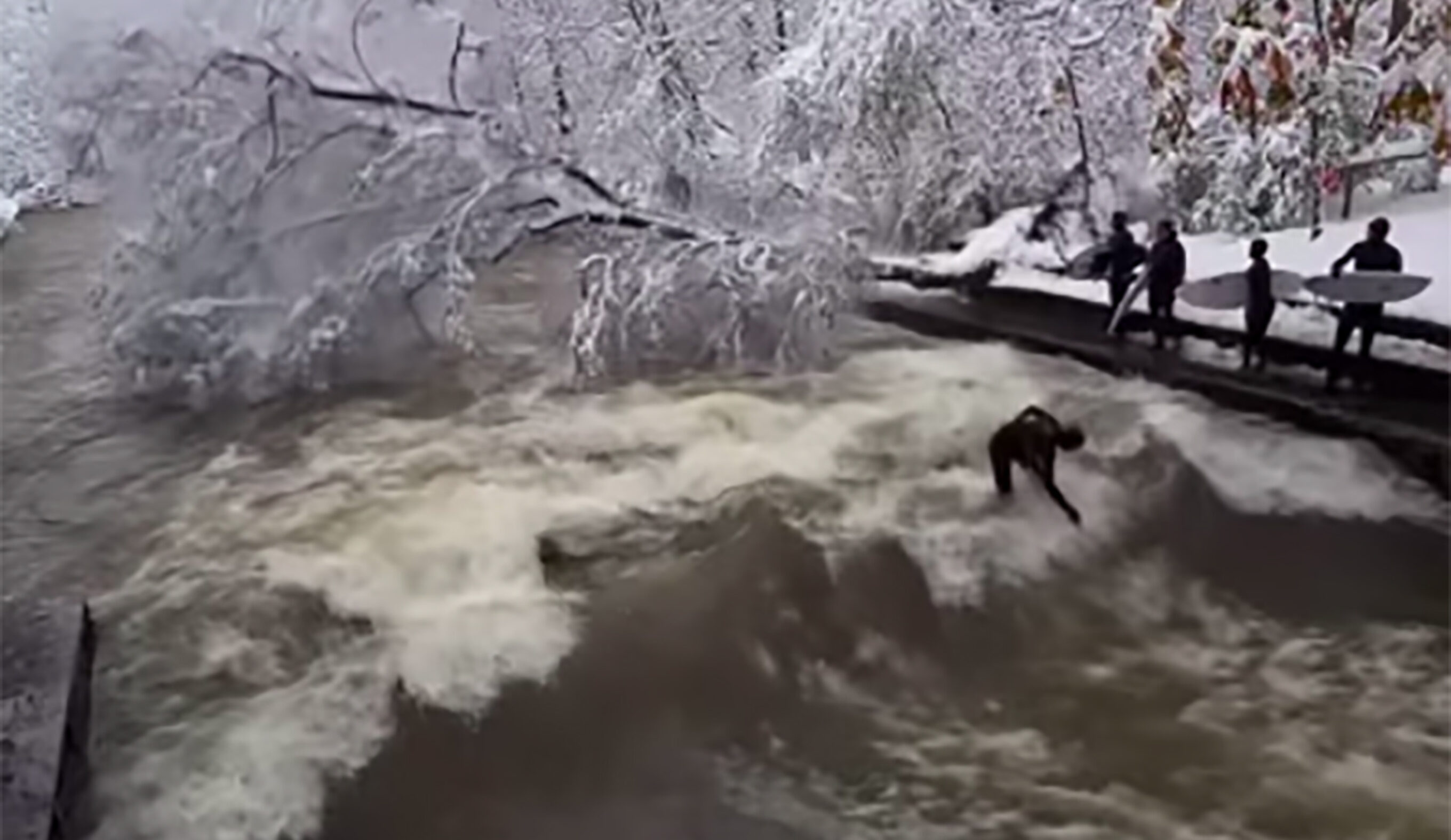 Footage Captures Tree Crashing Into River Behind Iconic Eisbach Wave After Record Snow in Munich