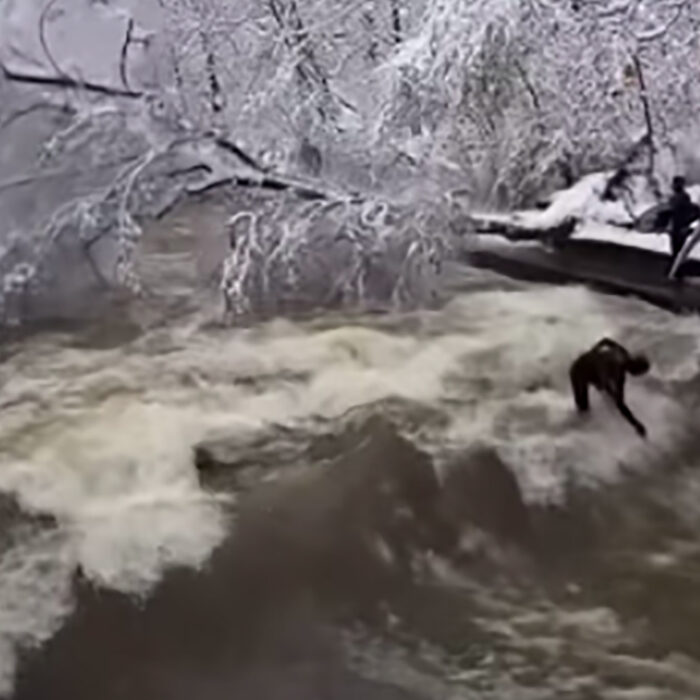 Footage Captures Tree Crashing Into River Behind Iconic Eisbach Wave After Record Snow in Munich