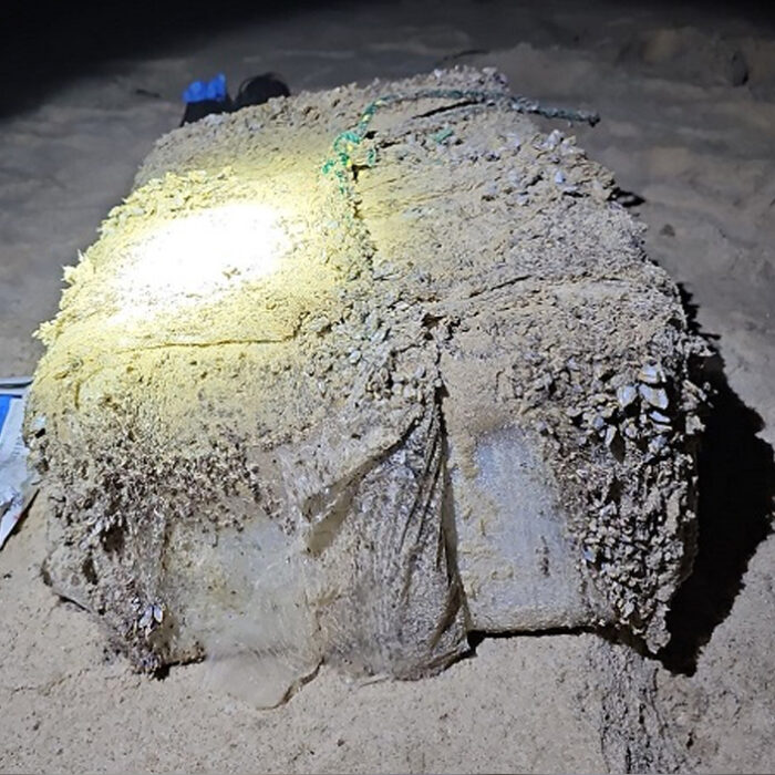 Cocaine washed up on beaches in SNW. Photo: NSW Police Force // X FKA Twitter