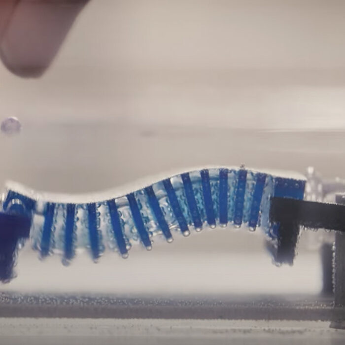 Microplastic eating robot snail. Photo: Cornell University // YouTube