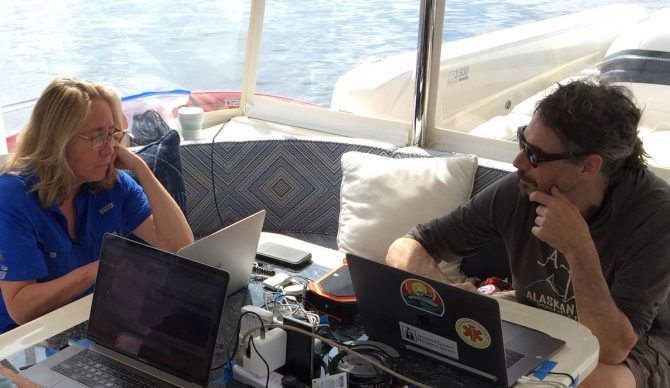 Researchers from SETI, looking for an alien by talking to whales