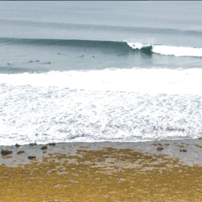 Photo: Ryan Miller // Instagram