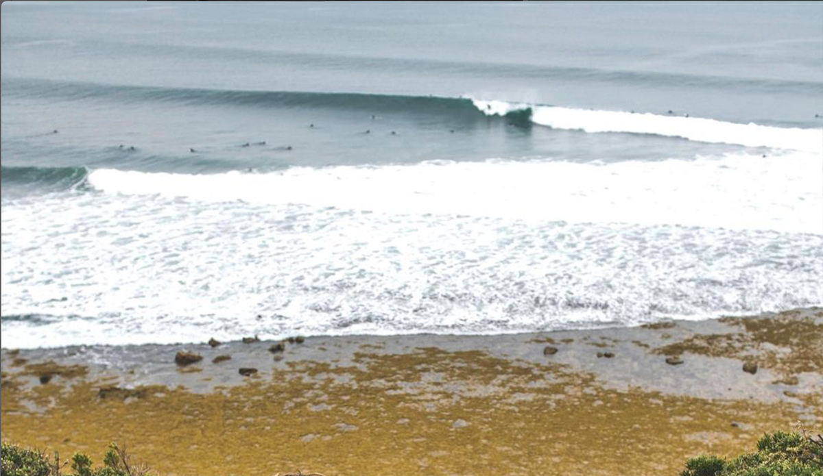 Winki Pop Surf Cam Sparks Debate, Petition For Removal - Vimarsana News