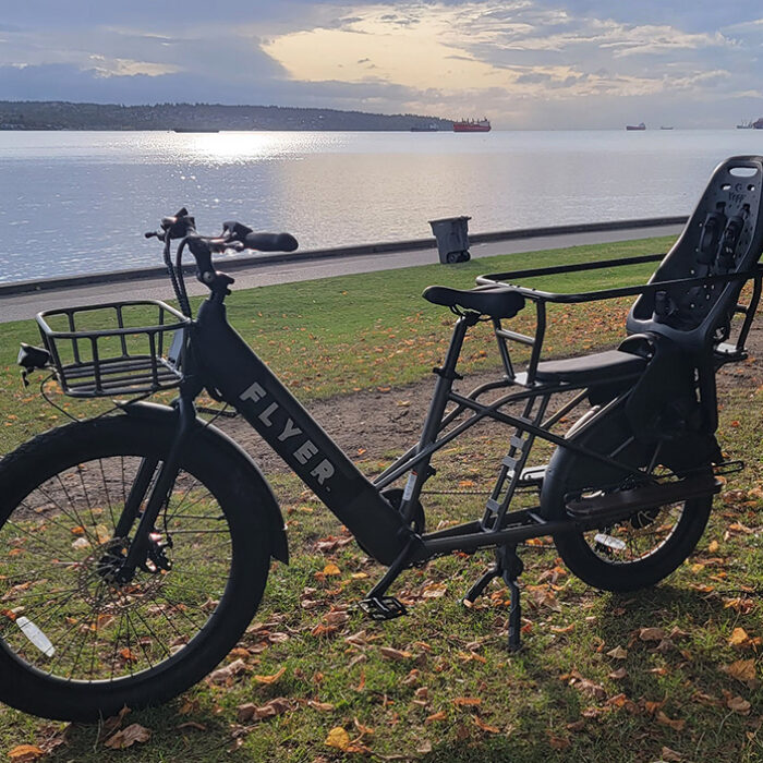 Flyer L885 Electric Bike