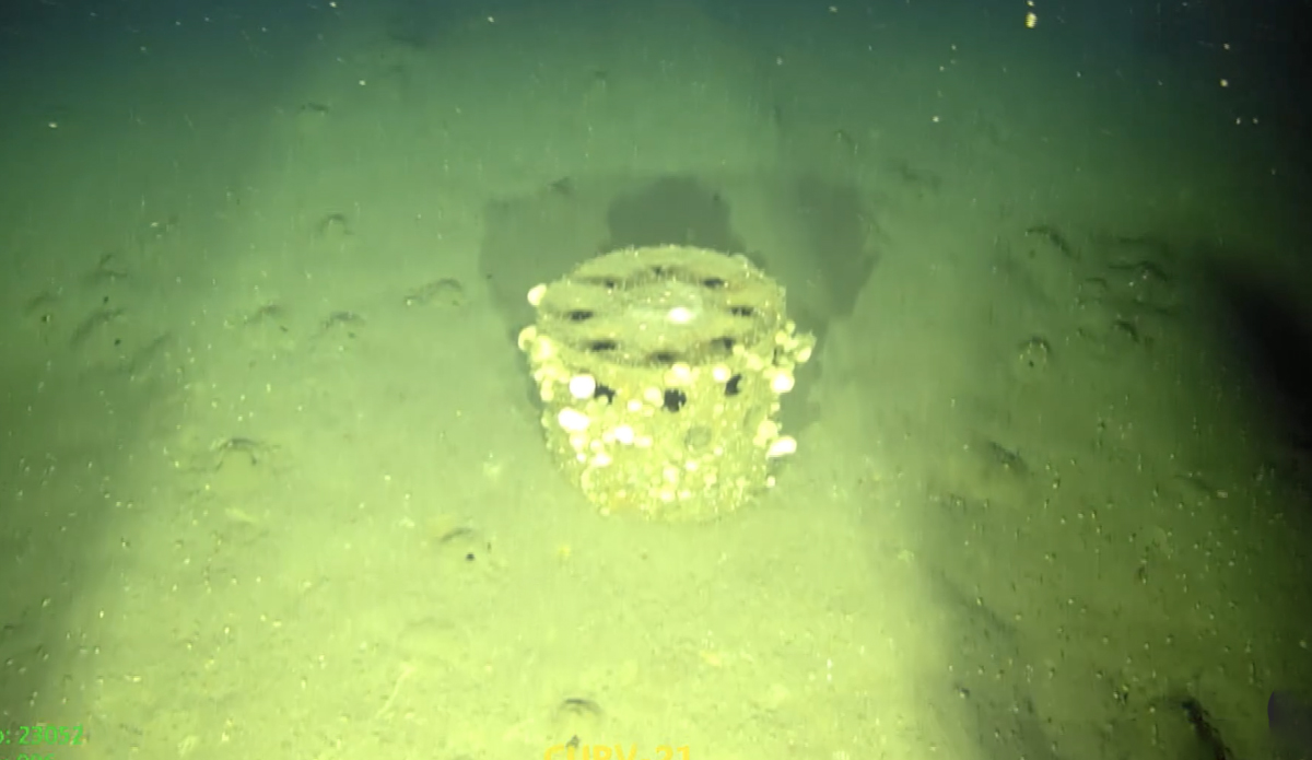 Ocean Floor Survey Finds Thousands of Military Munitions Discarded off Southern California Coast - Vimarsana News