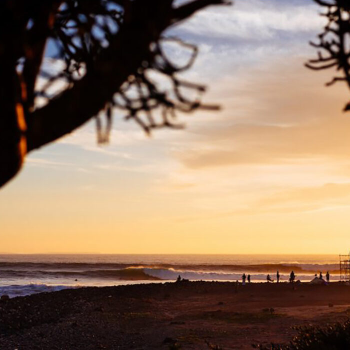 Mexican Surfers Grapple with New Fish Farm That Poses Risk to Ensenada Surf Spot