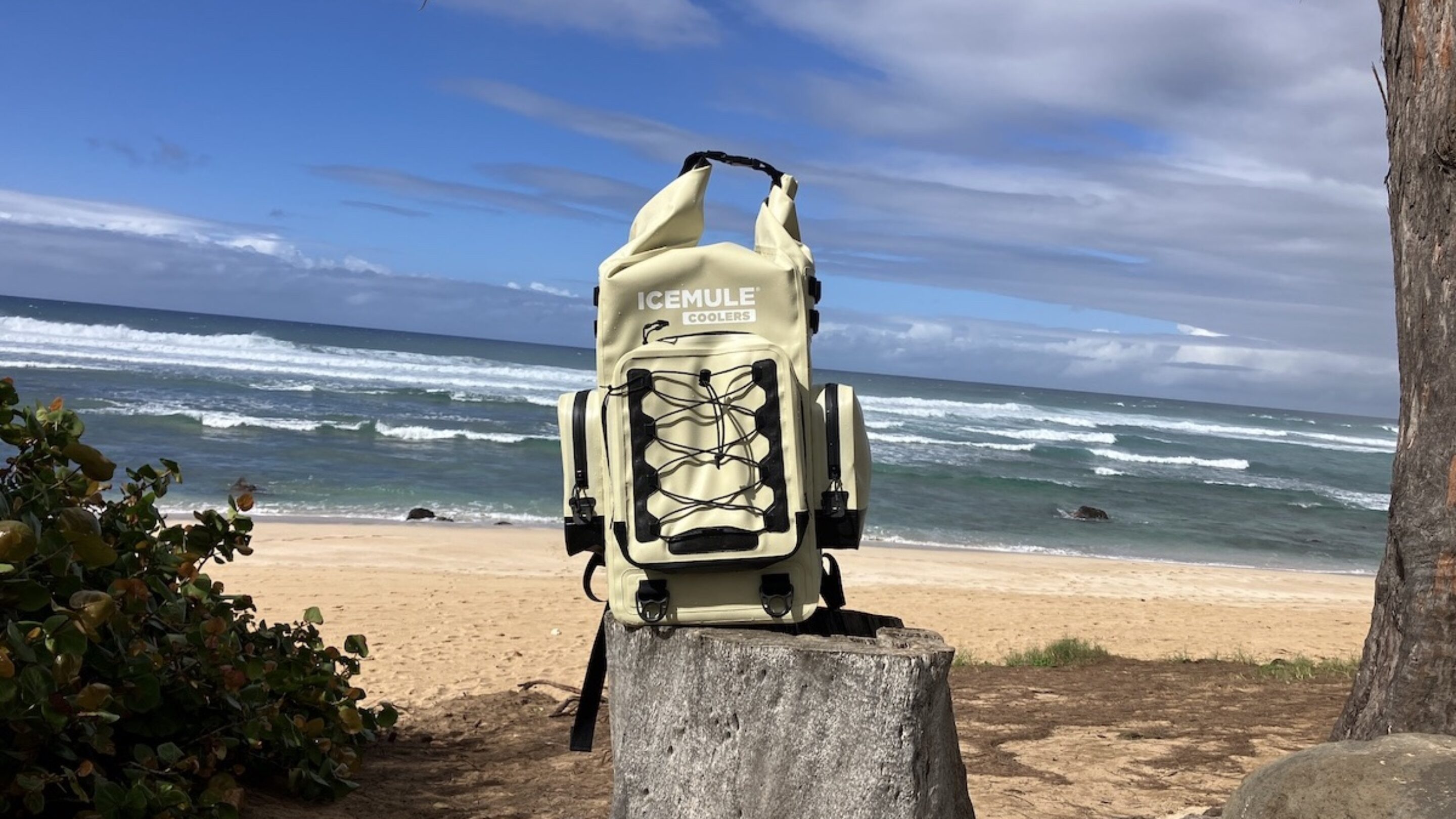 The IceMule Boss Backpack Cooler at the beach