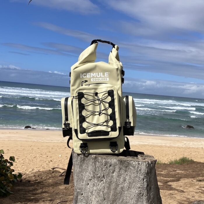 The IceMule Boss Backpack Cooler at the beach