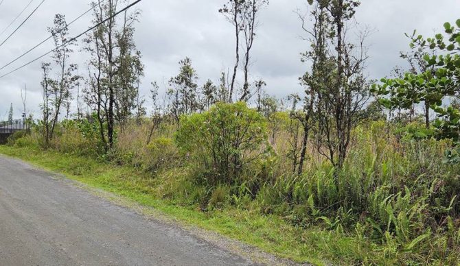 Developers build house on Big Island lot