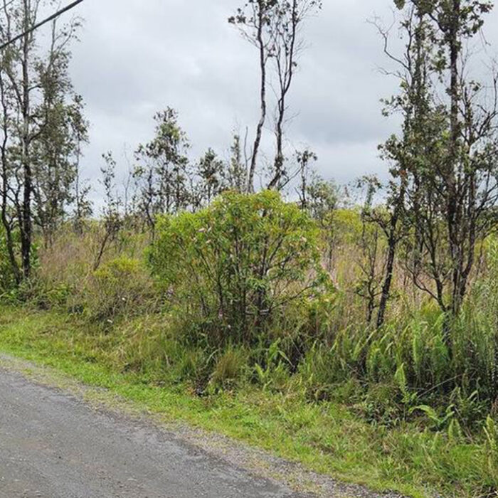 Developers build house on Big Island lot