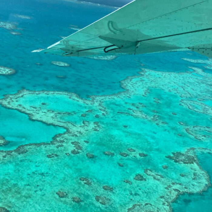 Great Barrier Reef mass bleaching