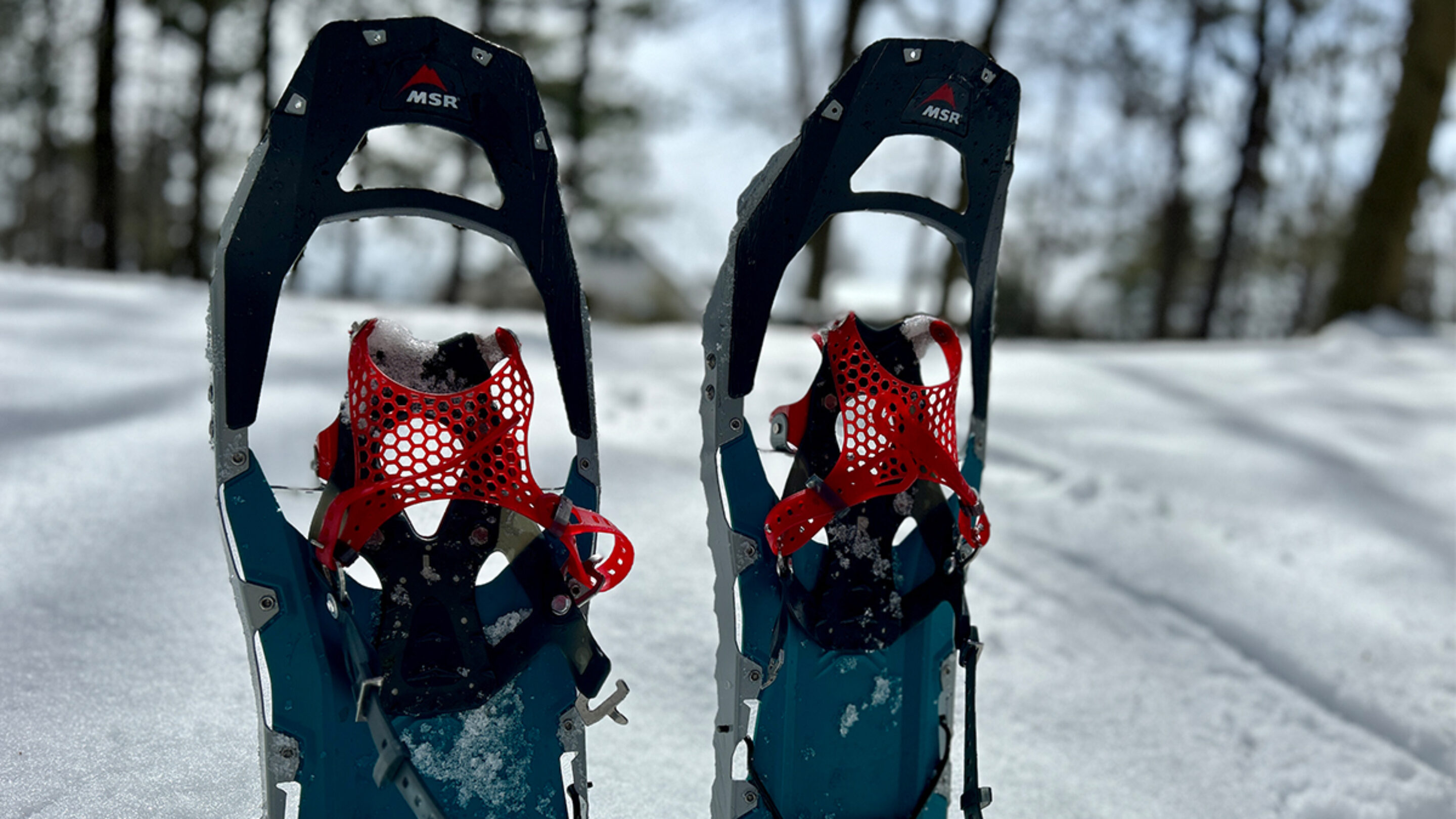 The MSR Revo Ascent snowshoes