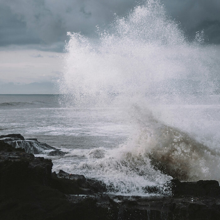 Photo: Polina Kuzovkova // Unsplash