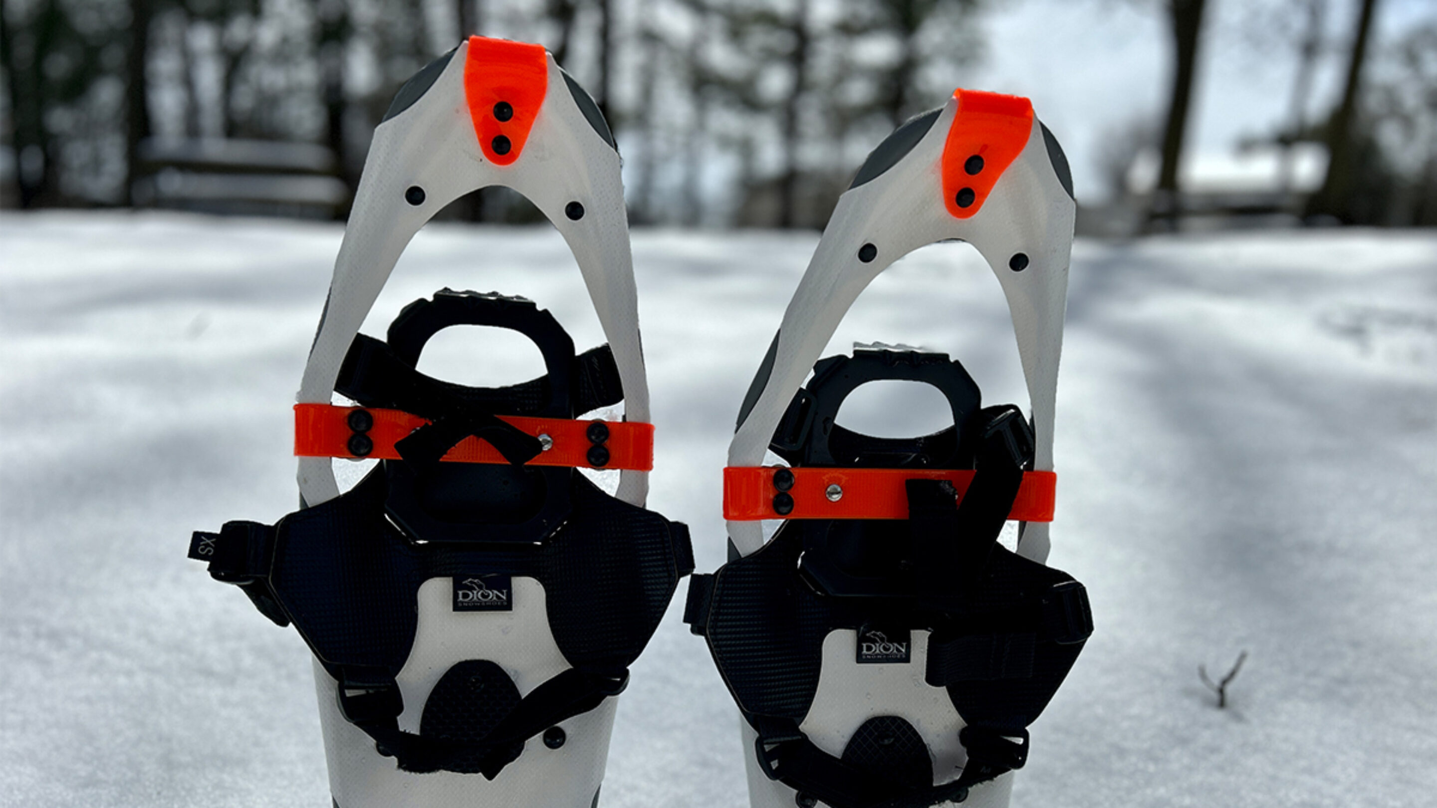 a pair of Dion 121 snowshoes in the snow