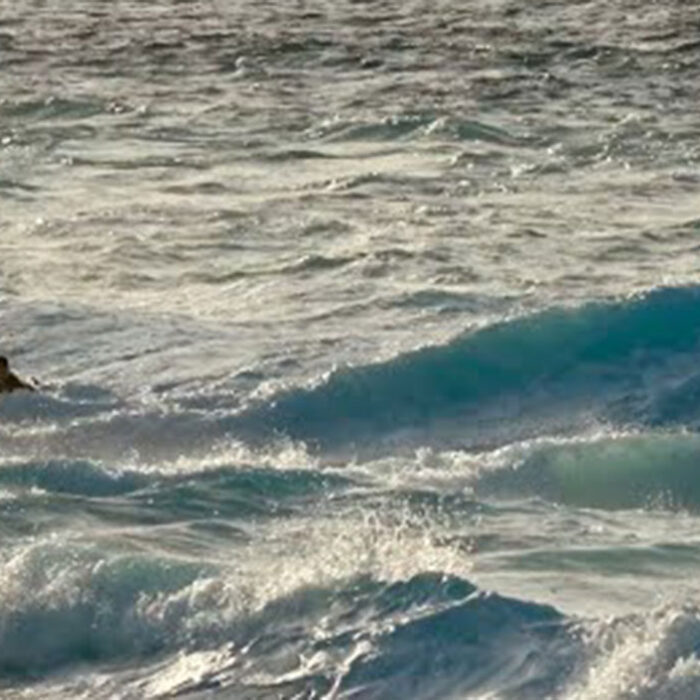 Nate Florence surfing North Shore