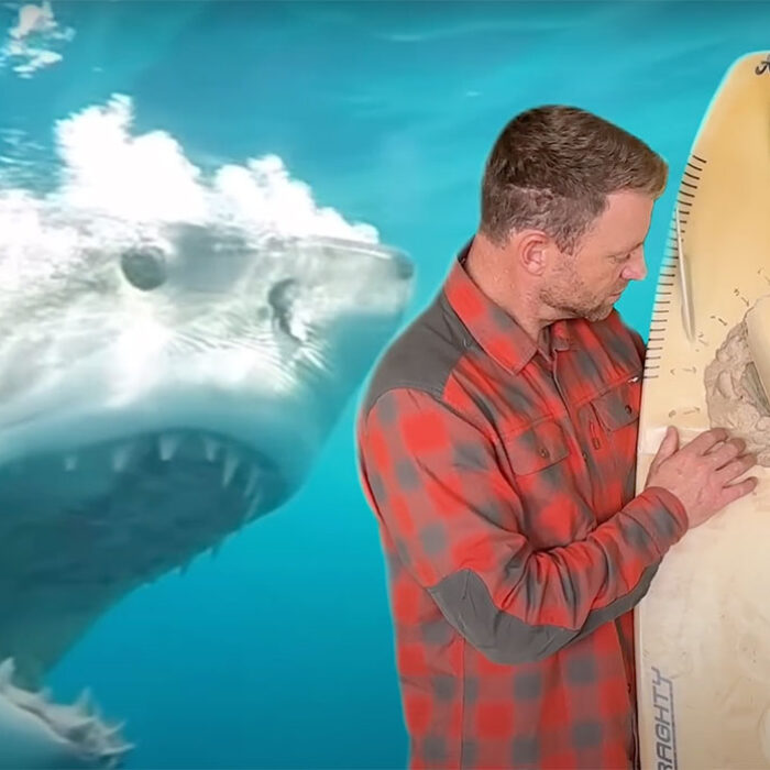 Shannon Ainslie shark attack
