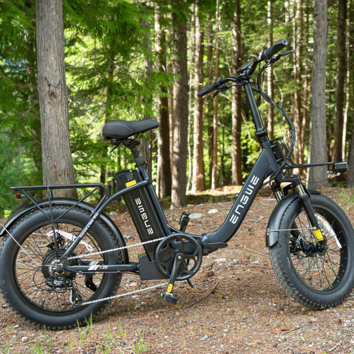 engwe 2.0 fat tire electric bike