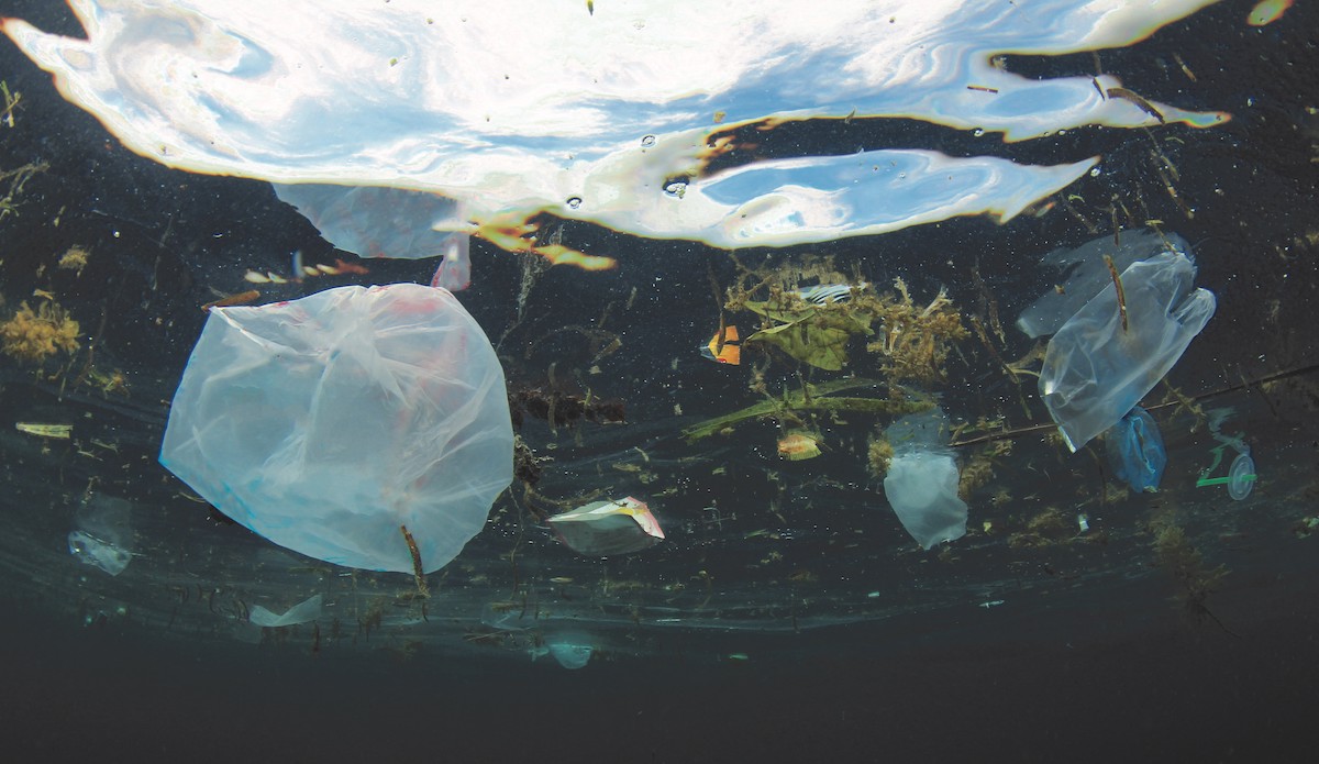 Ocean plastic floats in the water.
