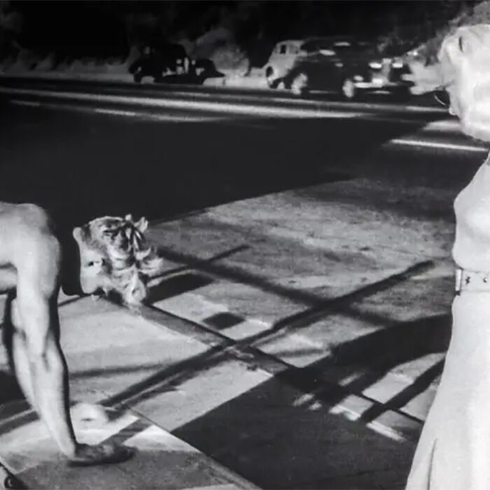 Malibu: A Woman's Wave