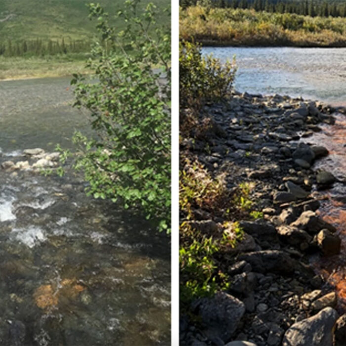 Alaska's rivers turning orange
