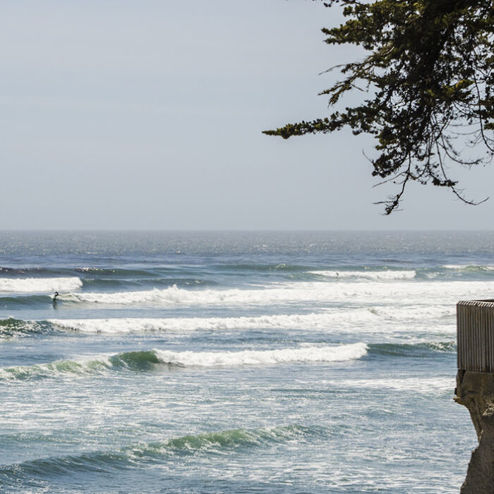 Santa Cruz Surfers Oppose Petition For Marine Protected Area at Pleasure Point