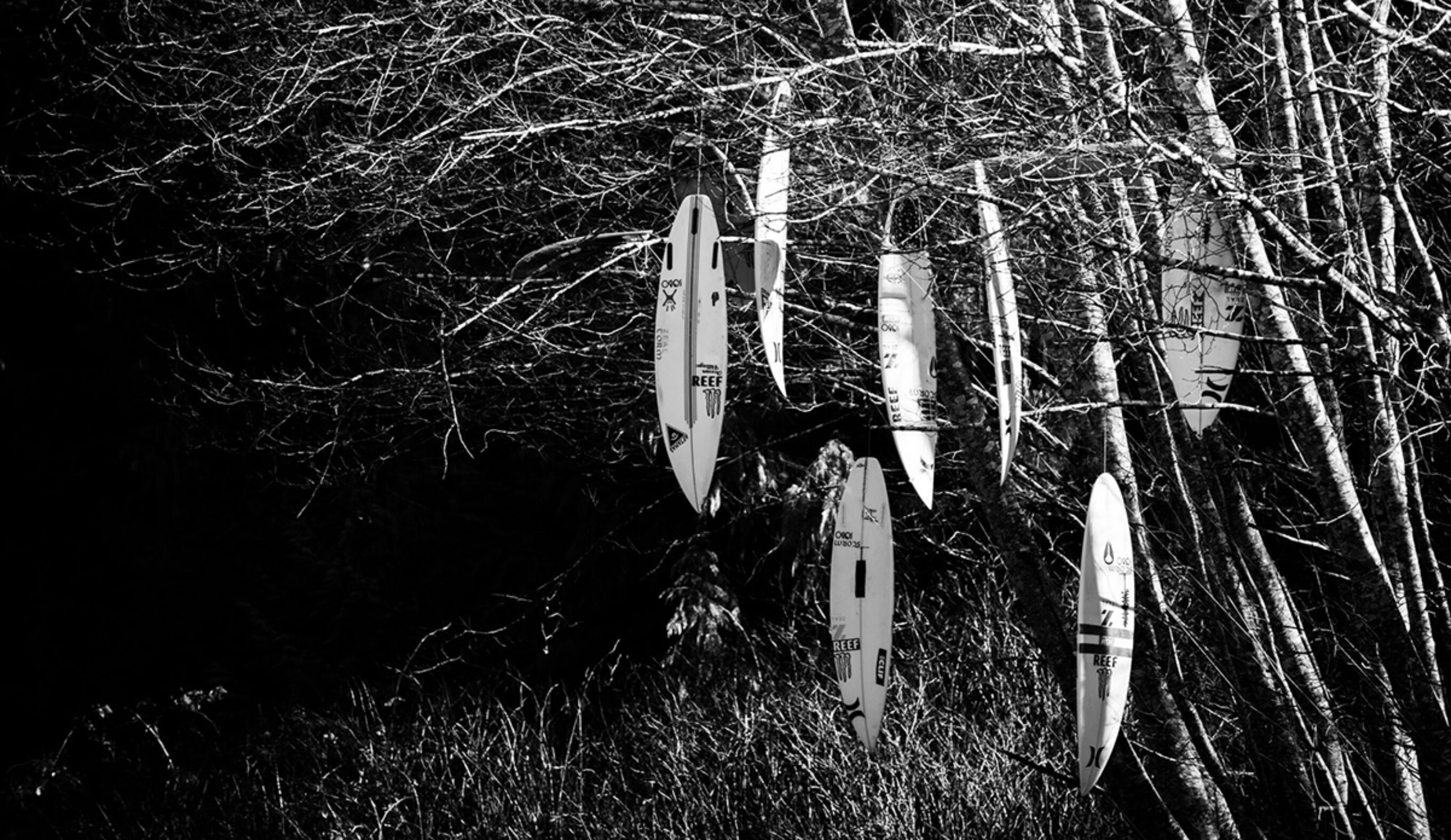 Dark Side of the Lens: A Surf Photographer Confronts His Mental Health