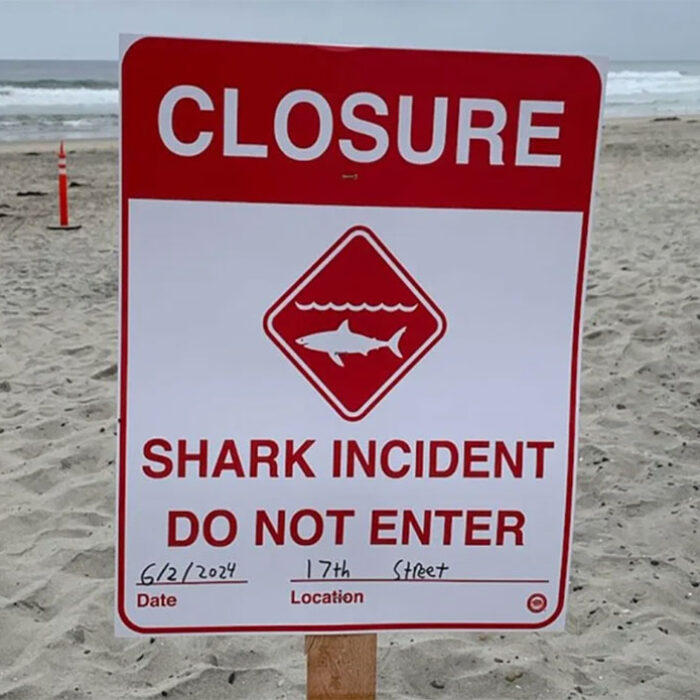 shark attack sign at Del Mar