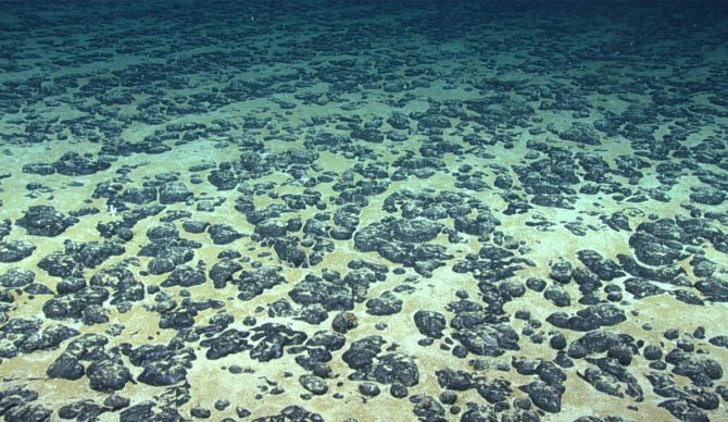 Polymetallic nodules on the ocean floor. Photo: NOAA Office of OER, 2019 Southeastern US Deep-sea Exploration