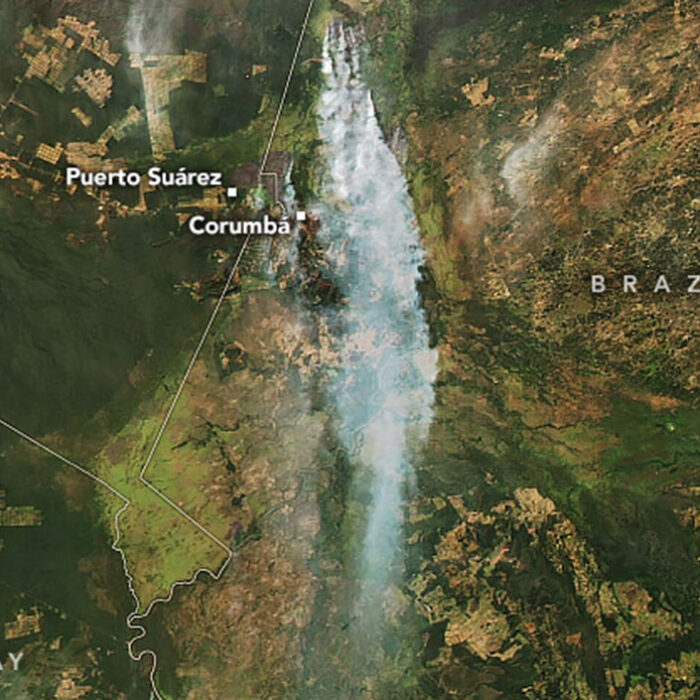 Pantanal fires