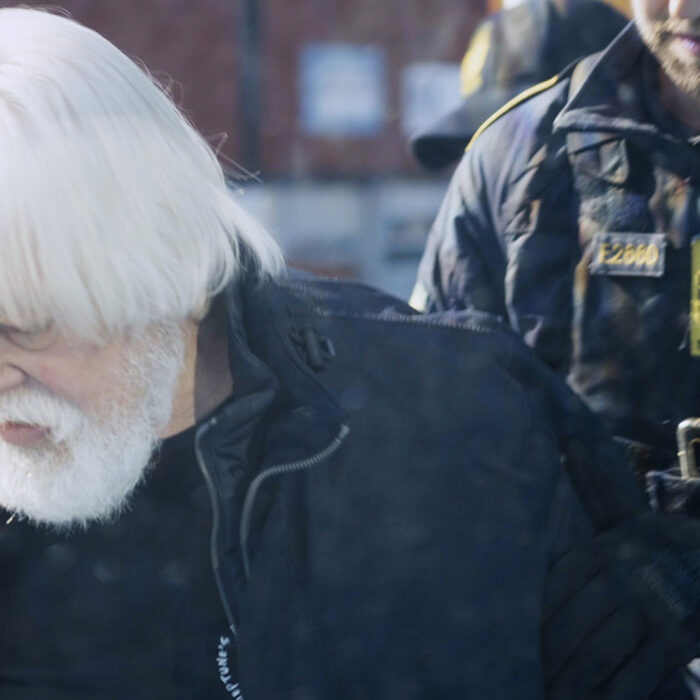 Captain Paul Watson arrested in Greenland