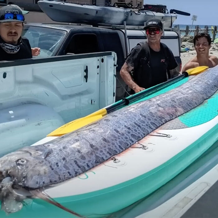 oarfish