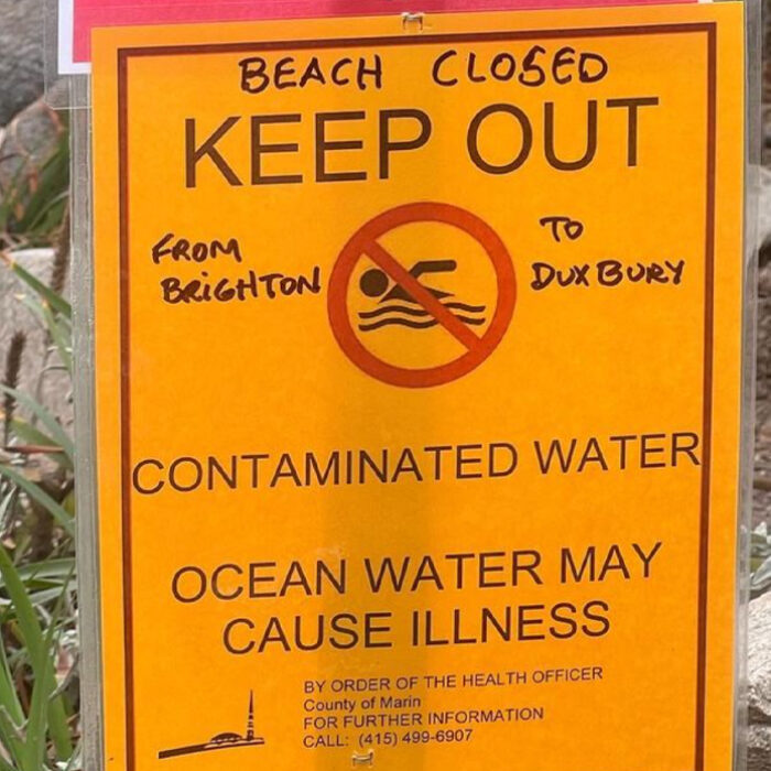 Photo: Bolinas Civic Group // Instagram