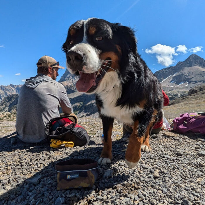 Ruffwear Press Paws