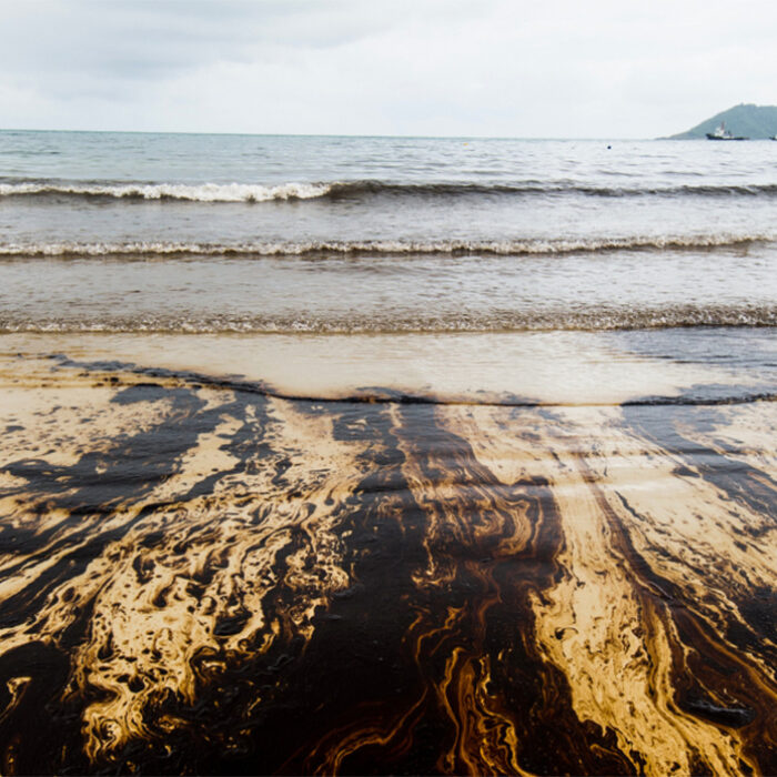 Big Oil Meets Surfers In the North Sea For a High Stakes, Environmental Showdown