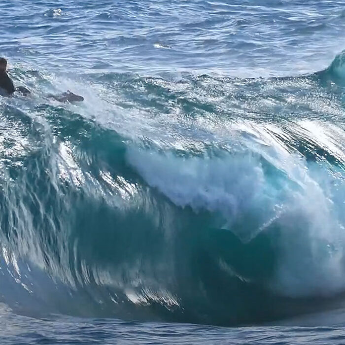 Nate Florence surfing