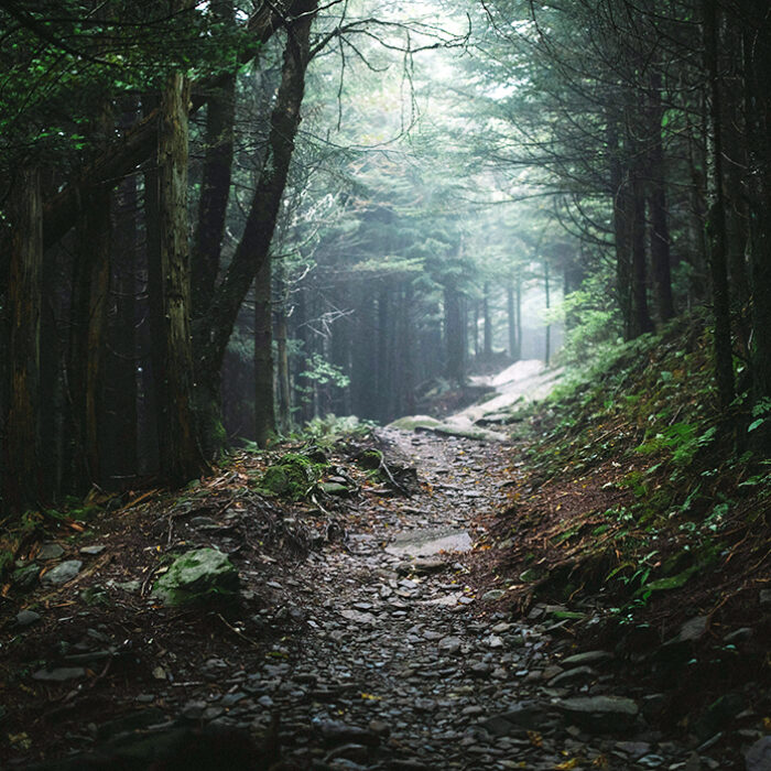 Hurricane Helene Damaged the Appalachian Trail, But It’s Not As Bad As a Viral Video Suggests