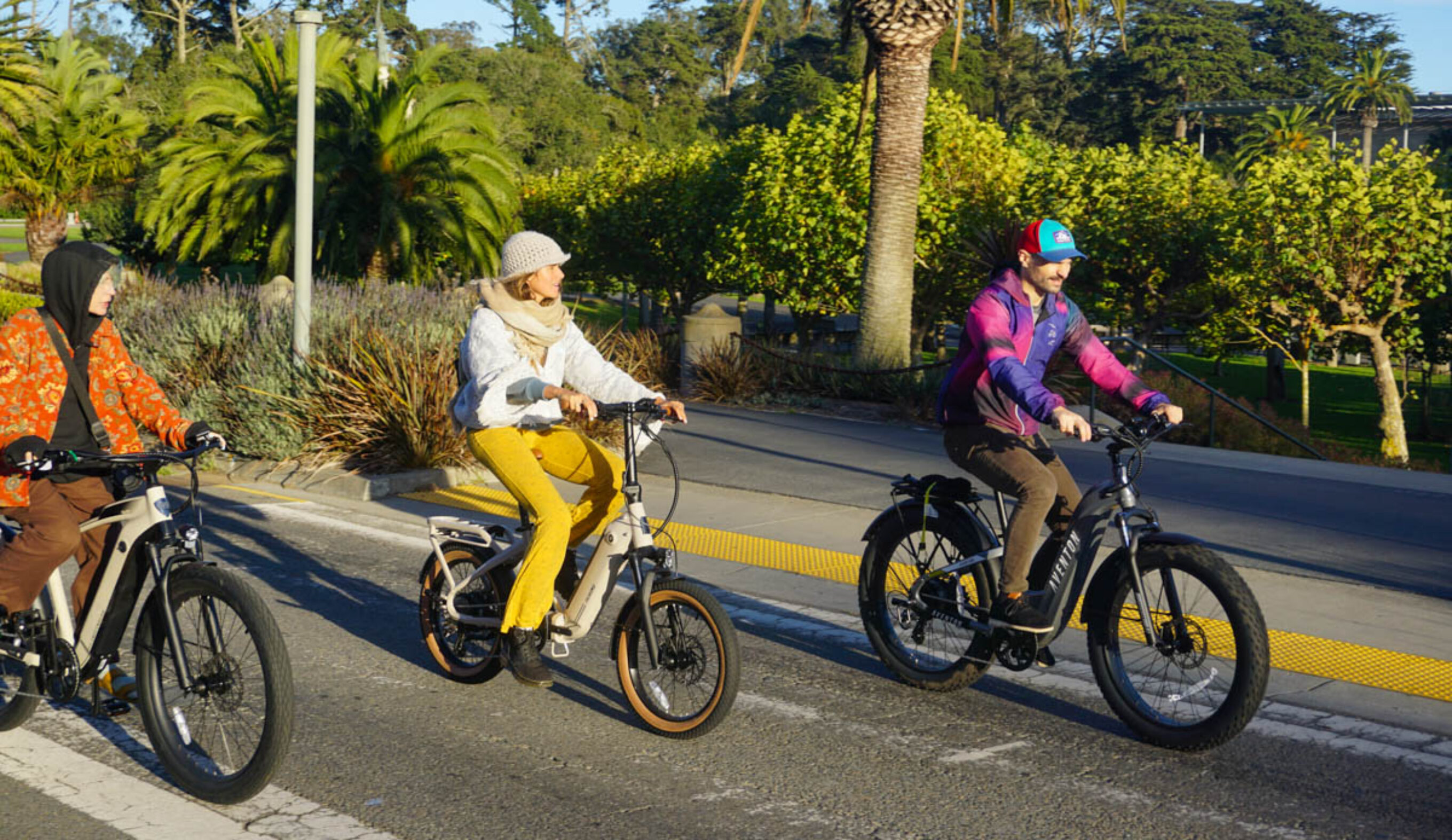 Riding fat tire electric bikes in san francisco with friends