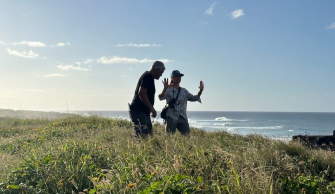 Anka Malatynska leaned on her experience as a surfer while creating the visuals of Rescue: HI Surf. Photo: Anka Malatynska