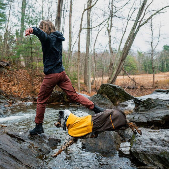 Ruffwear Winter Gear: Keep Your Dog Ready for Any Adventure This Season