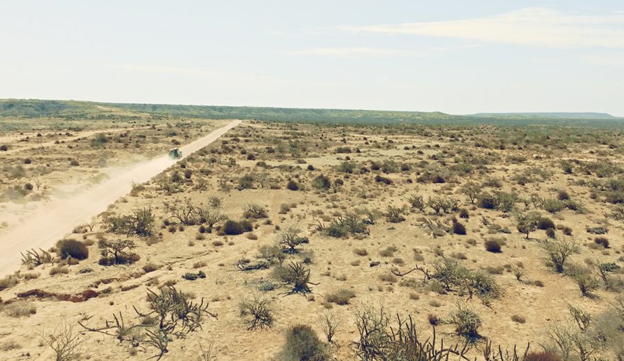 Baja California Sur and the Most Beautiful Emptiness