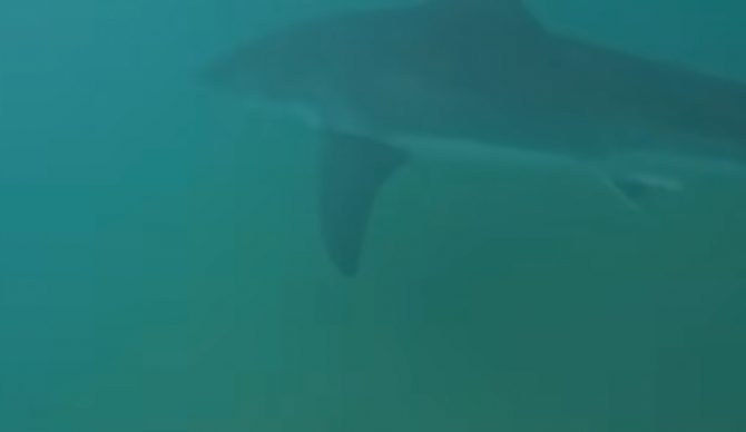 Photo: Kye Wilkinson // 9 News Australia