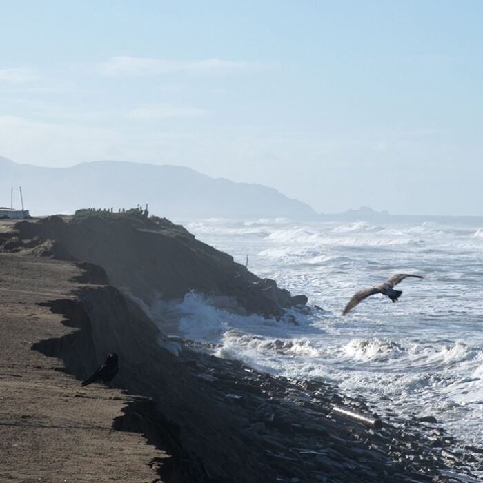 Coastal Commission Approves San Francisco Seawall Project Despite Opposition From Surfrider Foundation