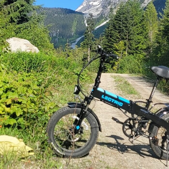 Lectric XP 3.0 ebike
